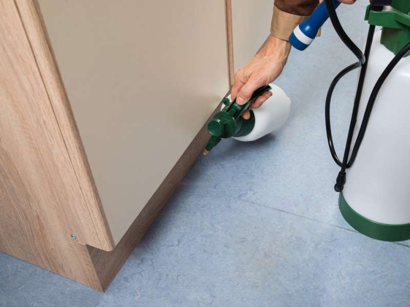 Integrated Pest Management (IPM)